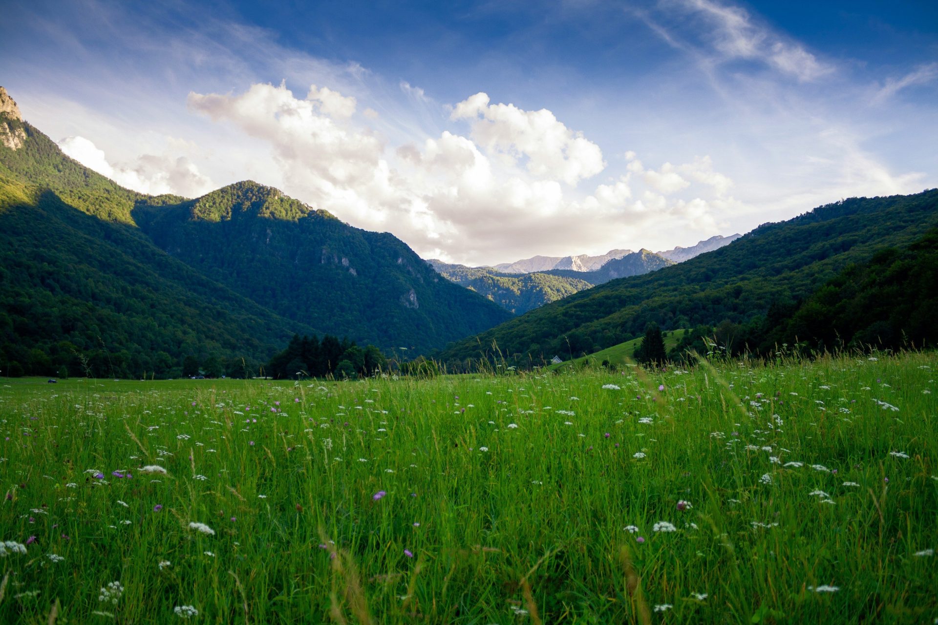 Grasfläche und Gebirgszüge
